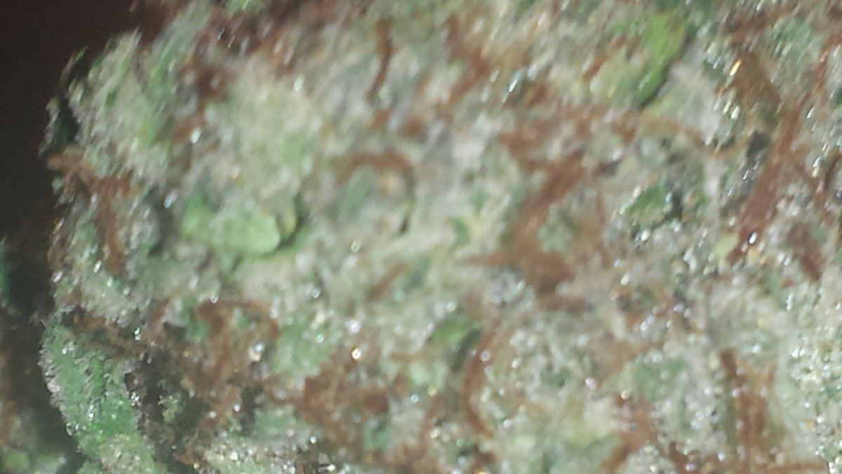 20150206 084120