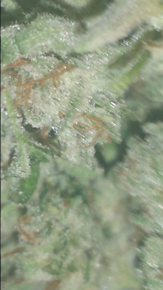 20150206 084329