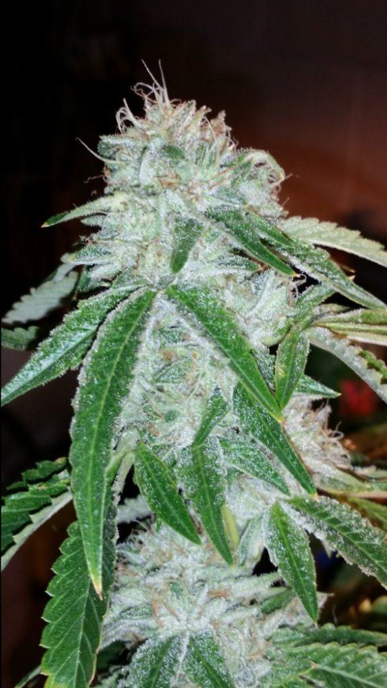 20150206 125908