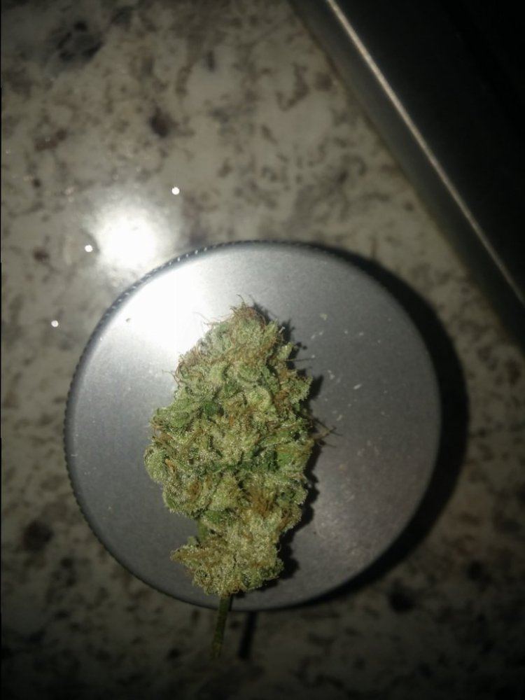 20150206 134625