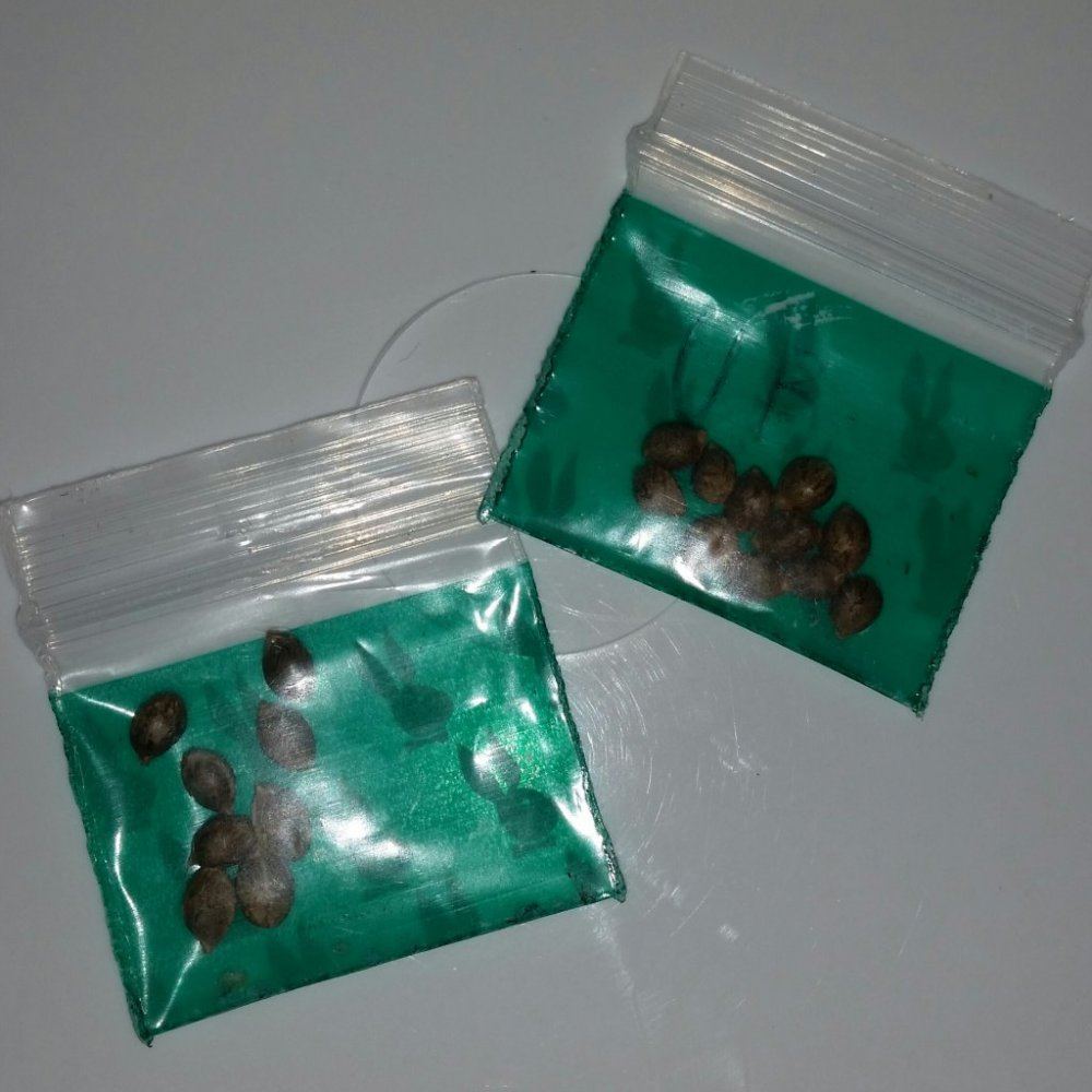 20150208 161128 1