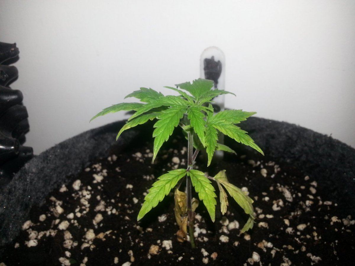 20150212 171837