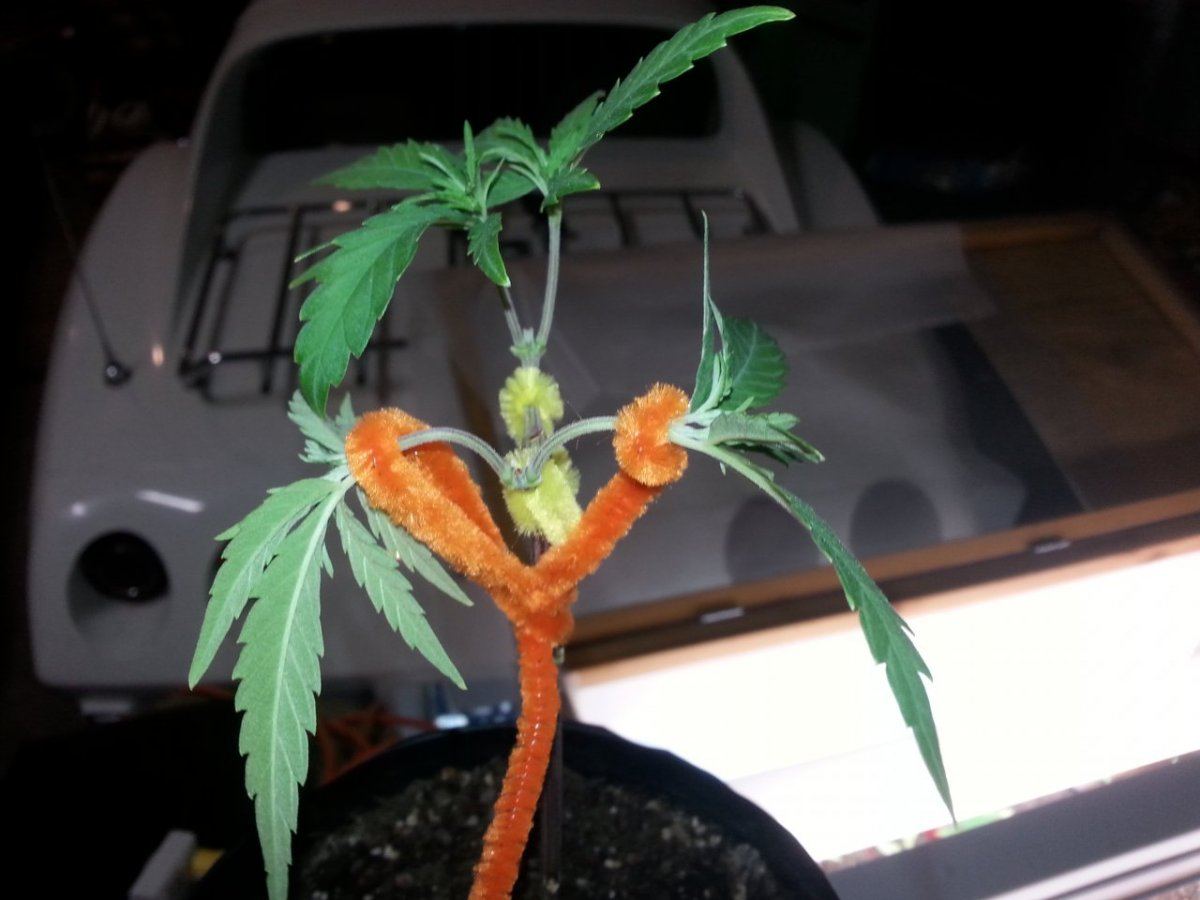 20150216 223452