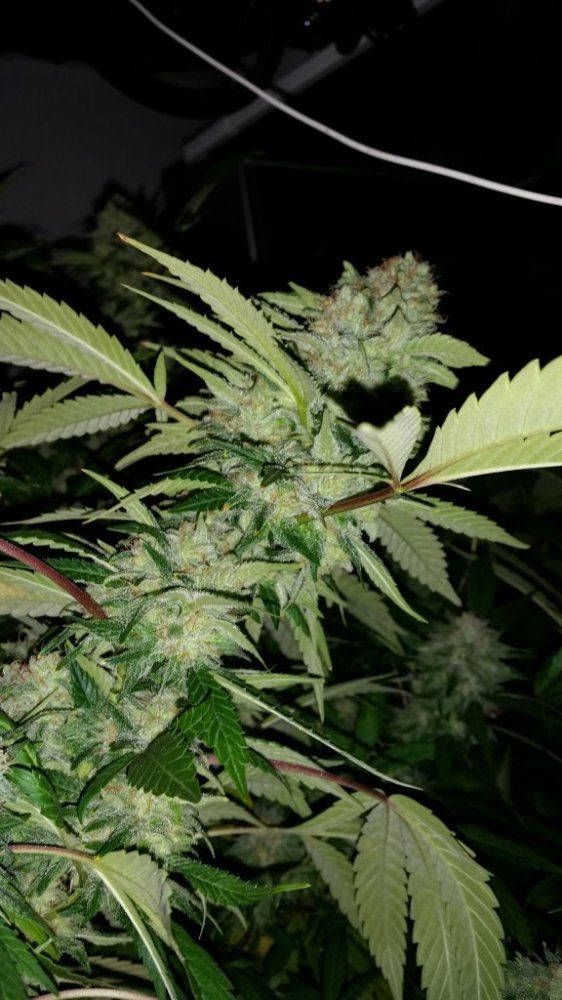 20150220 091538