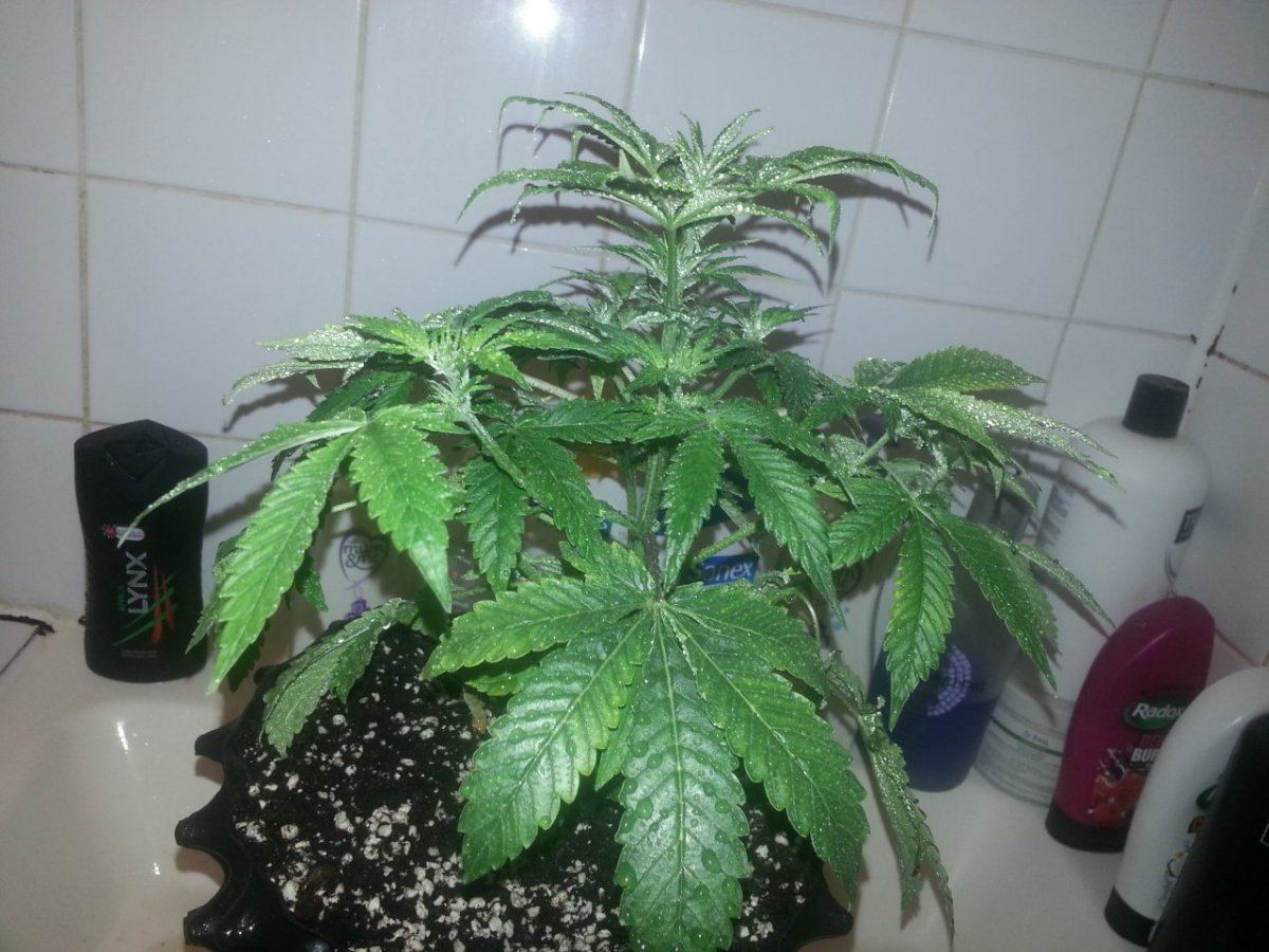 20150224 171629