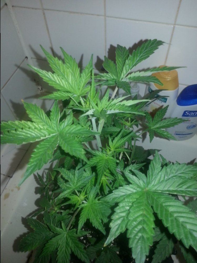 20150224 171744