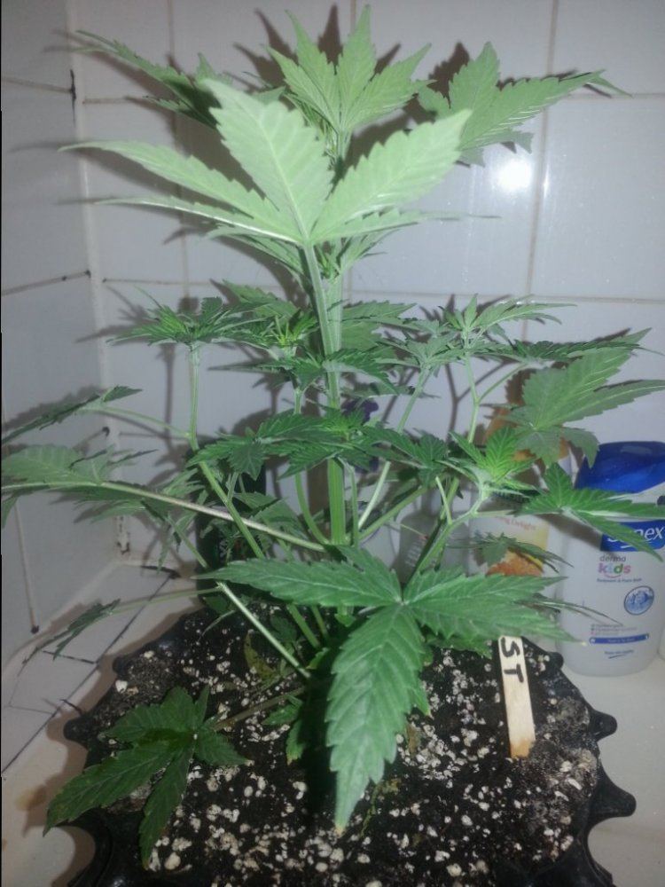 20150224 171800