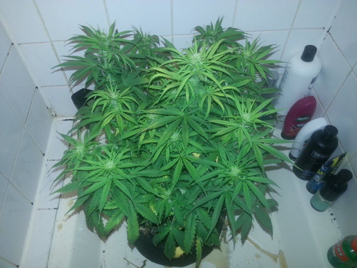 20150224 172027