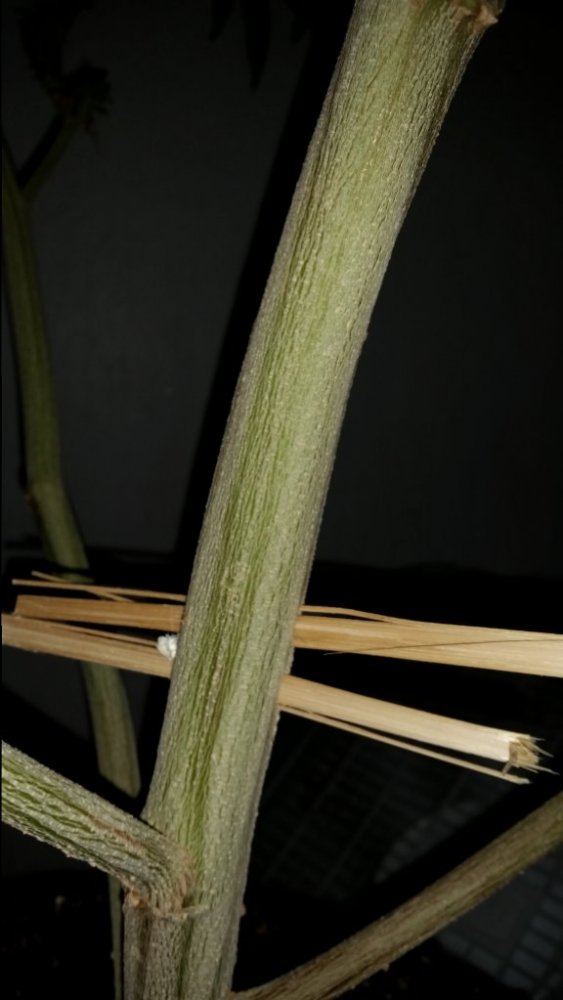 20150225 094842