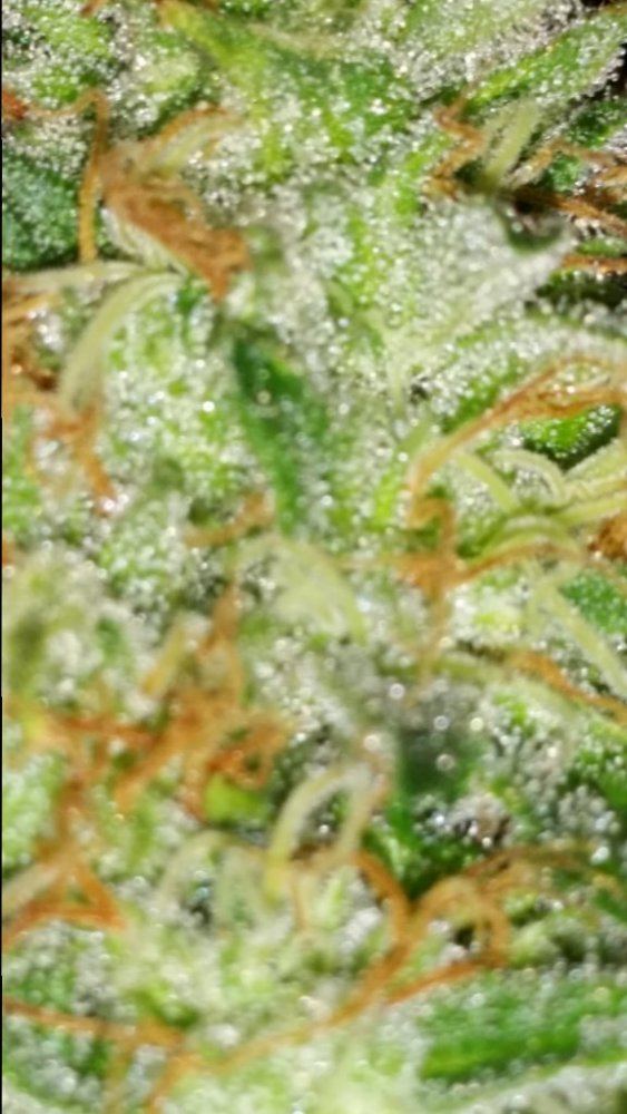 20150225 095110