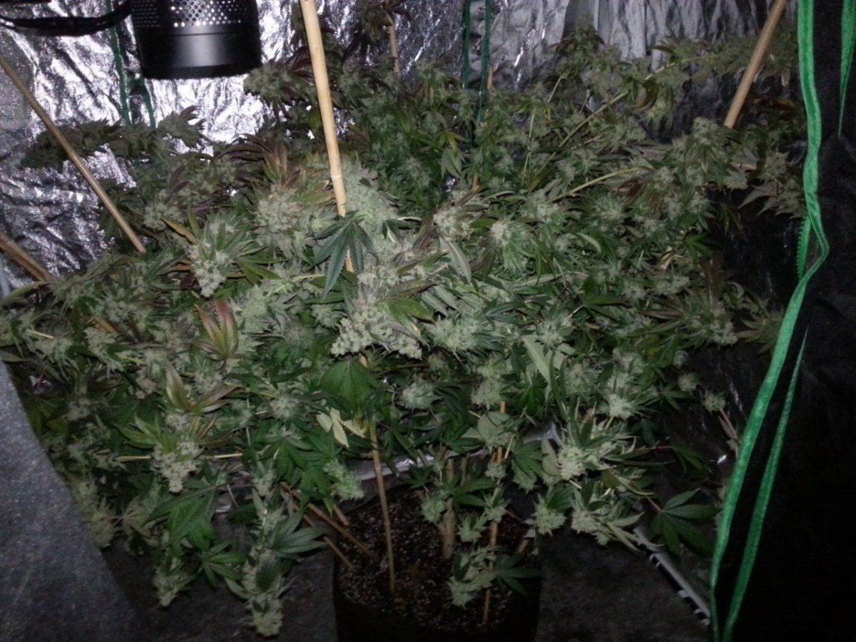20150225 143156