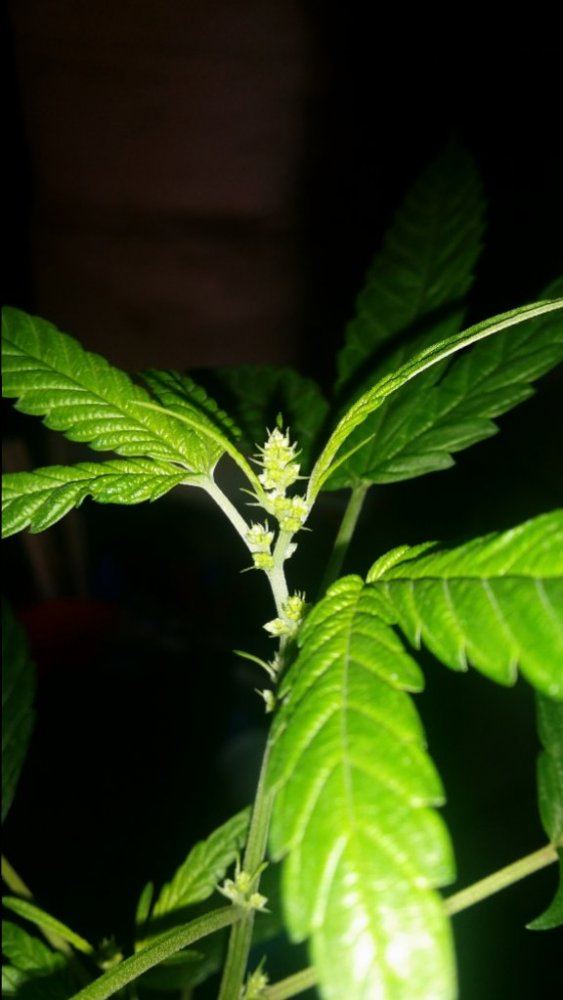 20150225 143517