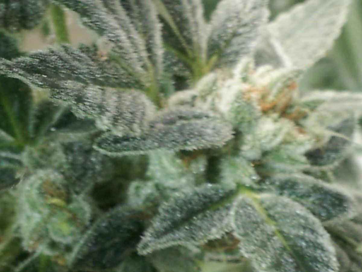 20150227 094028