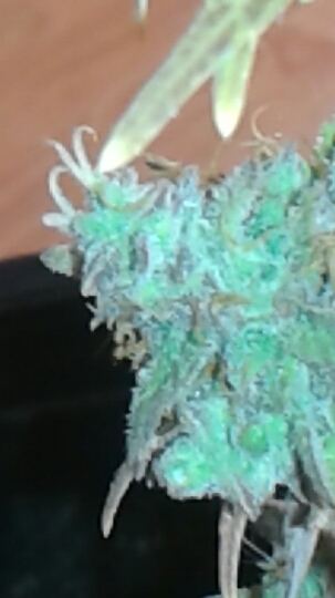 20150228 170310