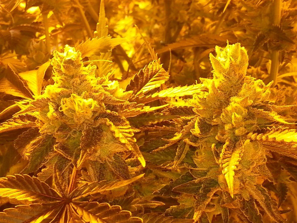 20150312 084140