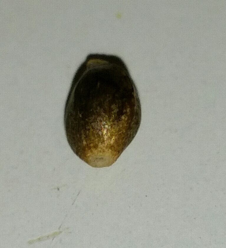 20150314 142258 1