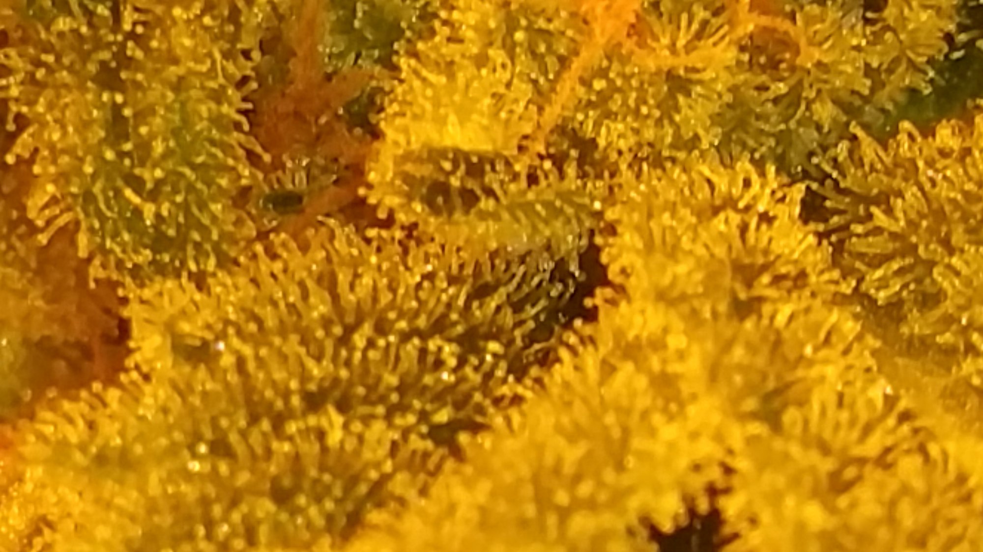 20150326 022756
