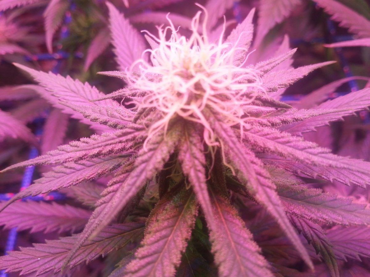 20150326 192508