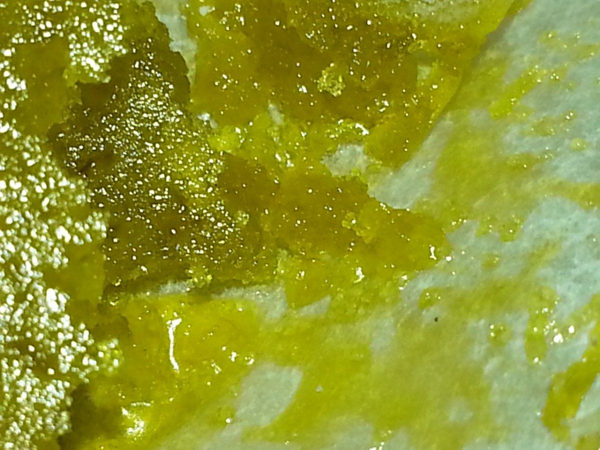 20150330 064324