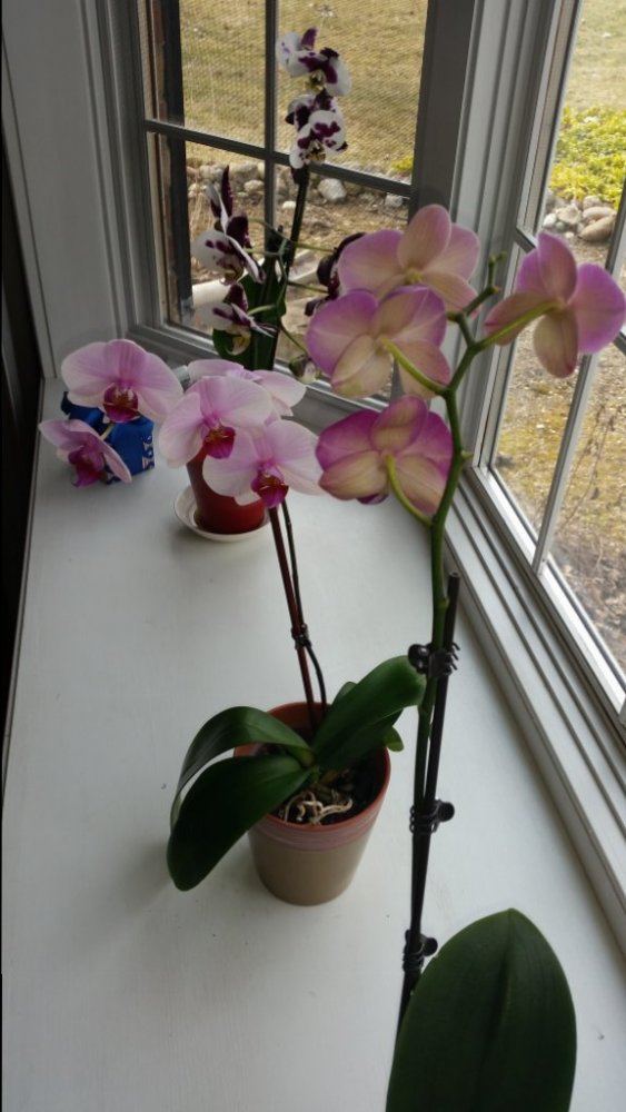 20150405 162350
