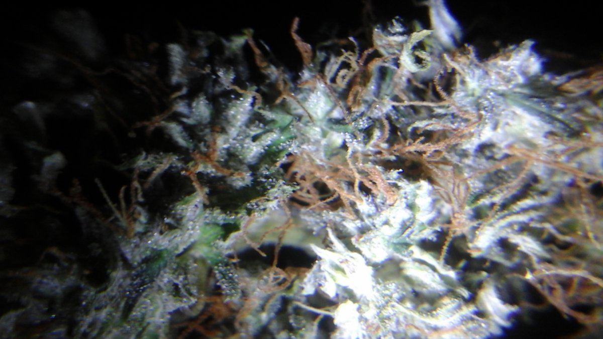 20150428 104153