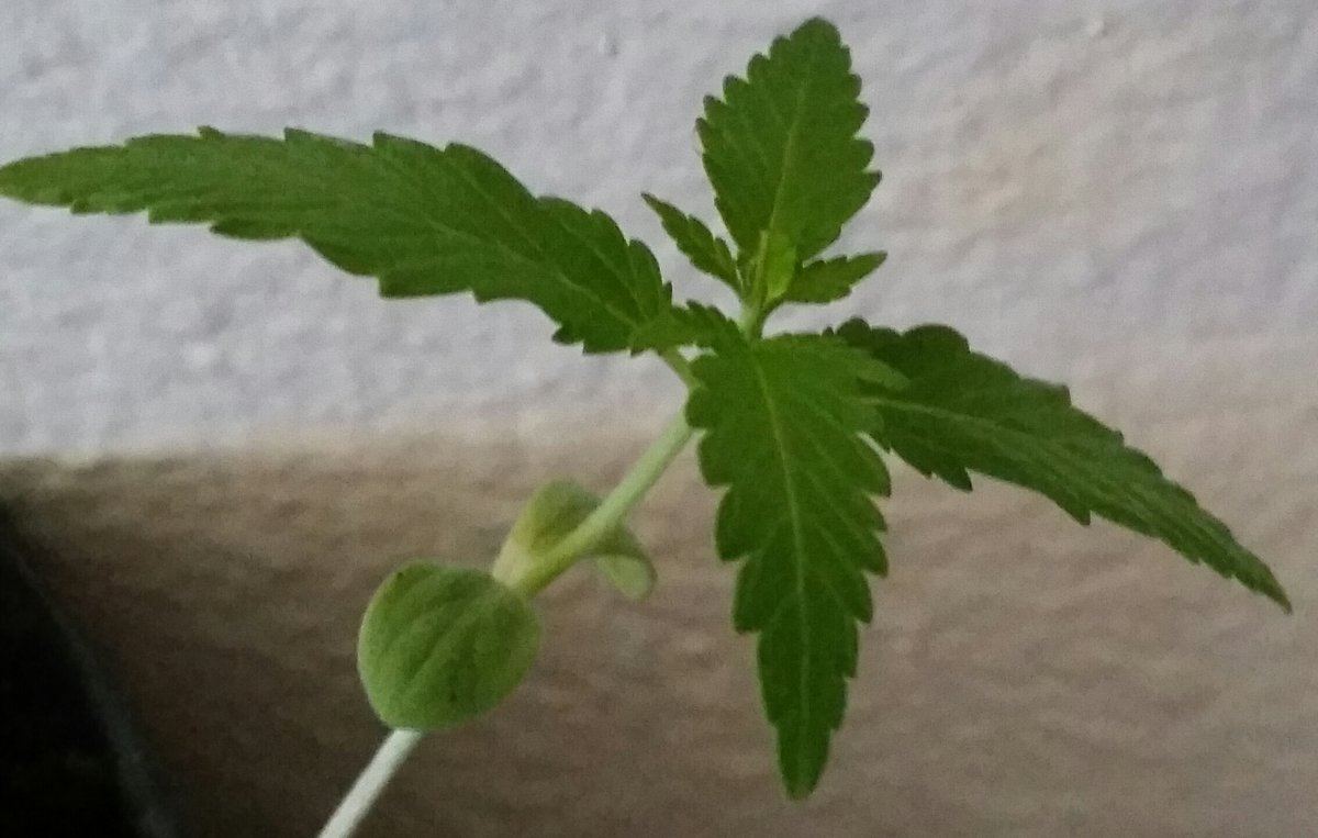 20150515 130732 1