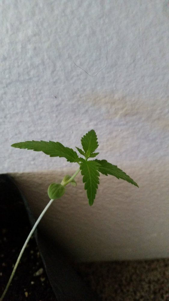20150515 130732
