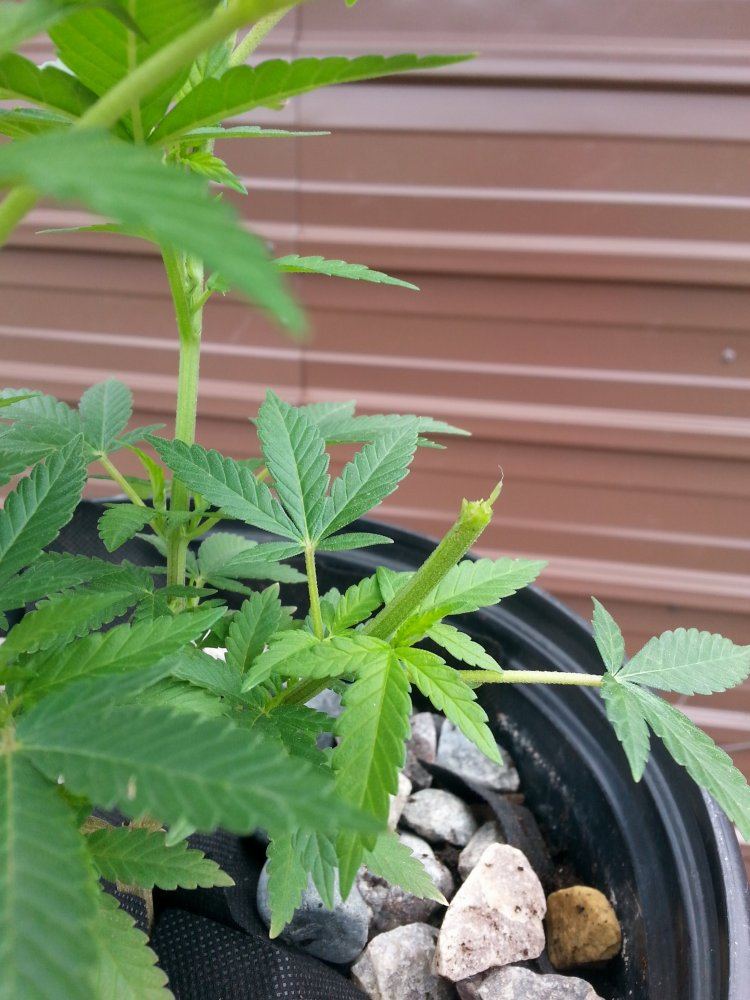 20150516 110816