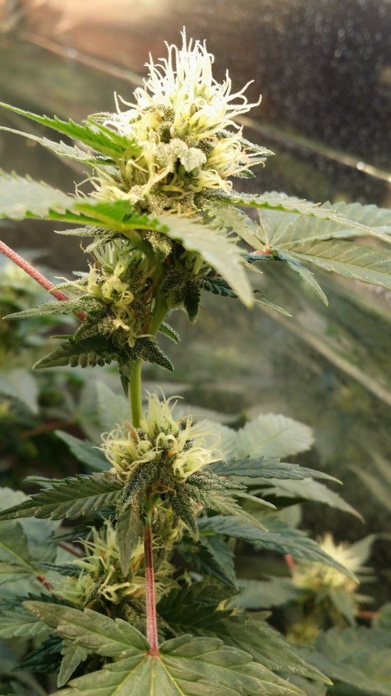 20150518 122217