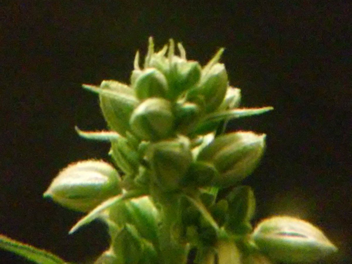 20150608 134430