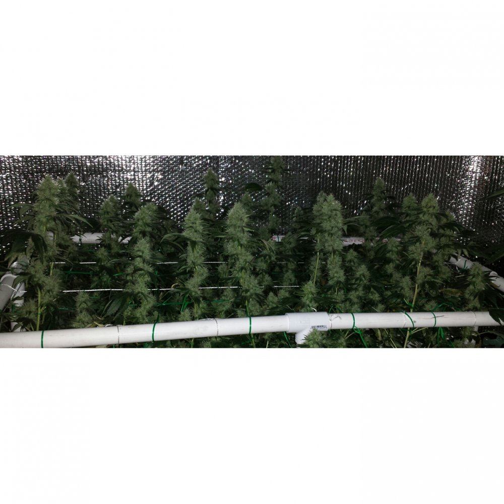 20150701 083503 20150701092208654
