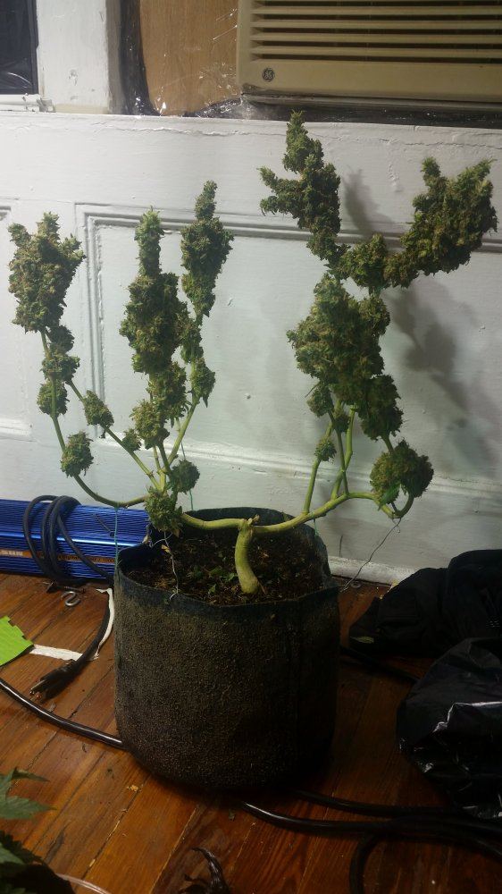 20150707 143316