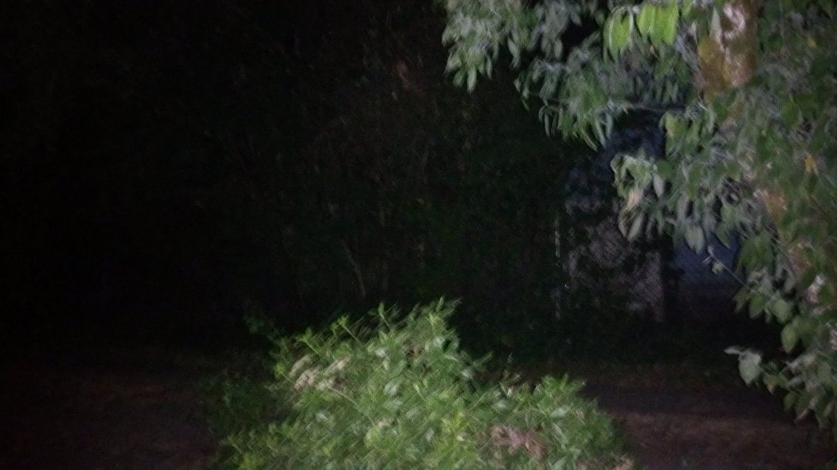 20150717 000334