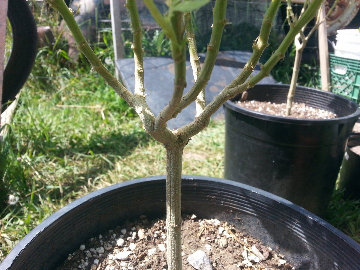 20150717 111333