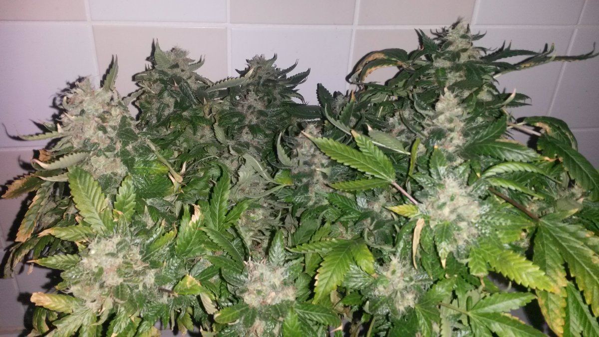 20150720 214032