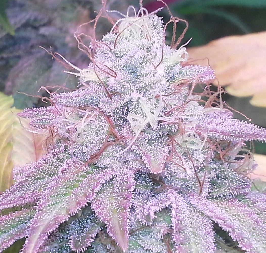 20150727 211047 11