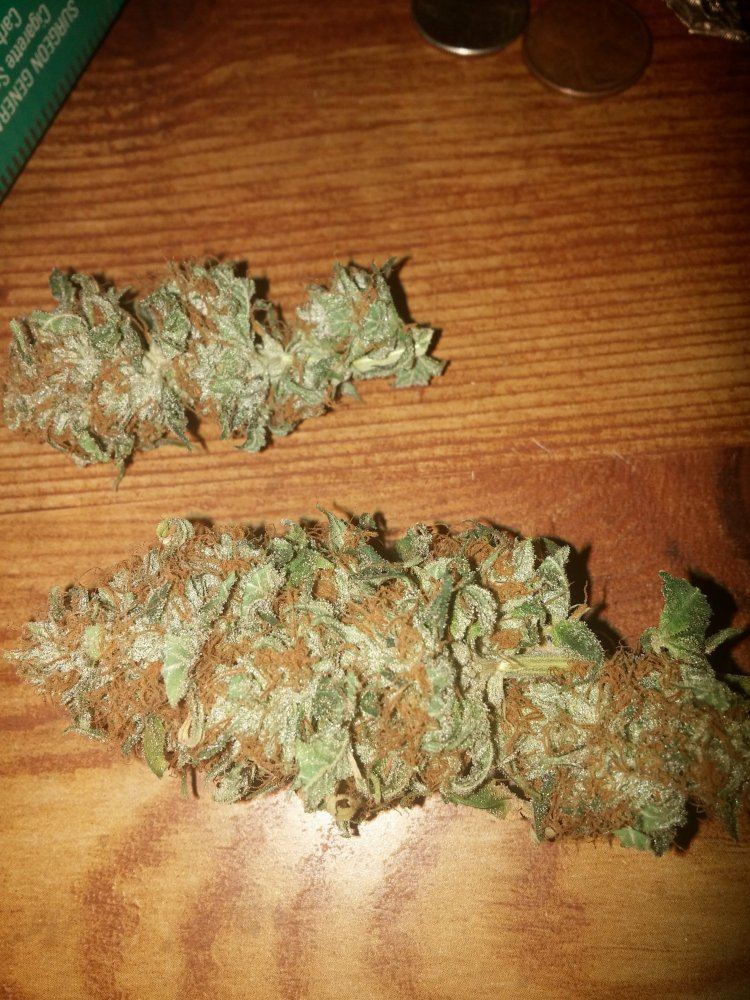 20150808 031008