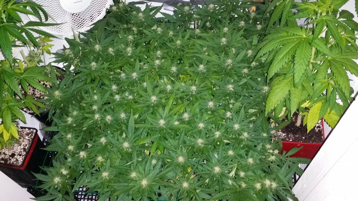 20150815 211711