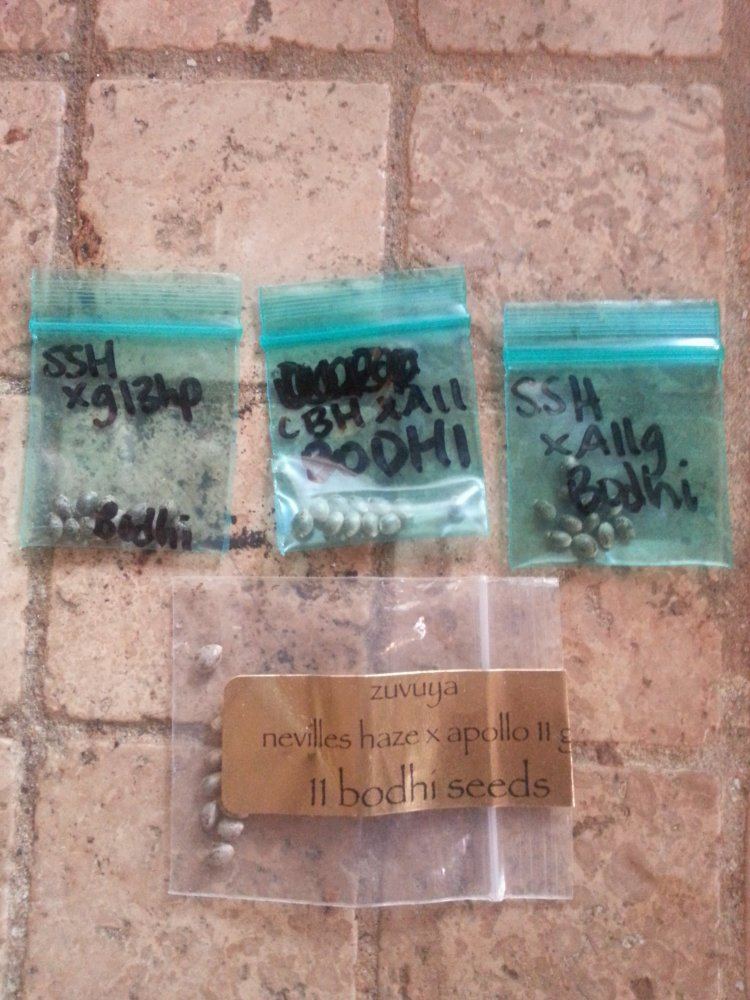 20150821 173804