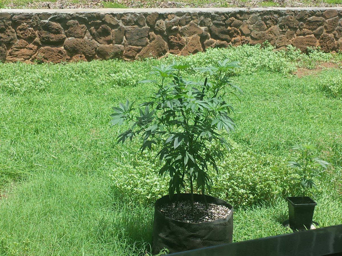 20150909 125955