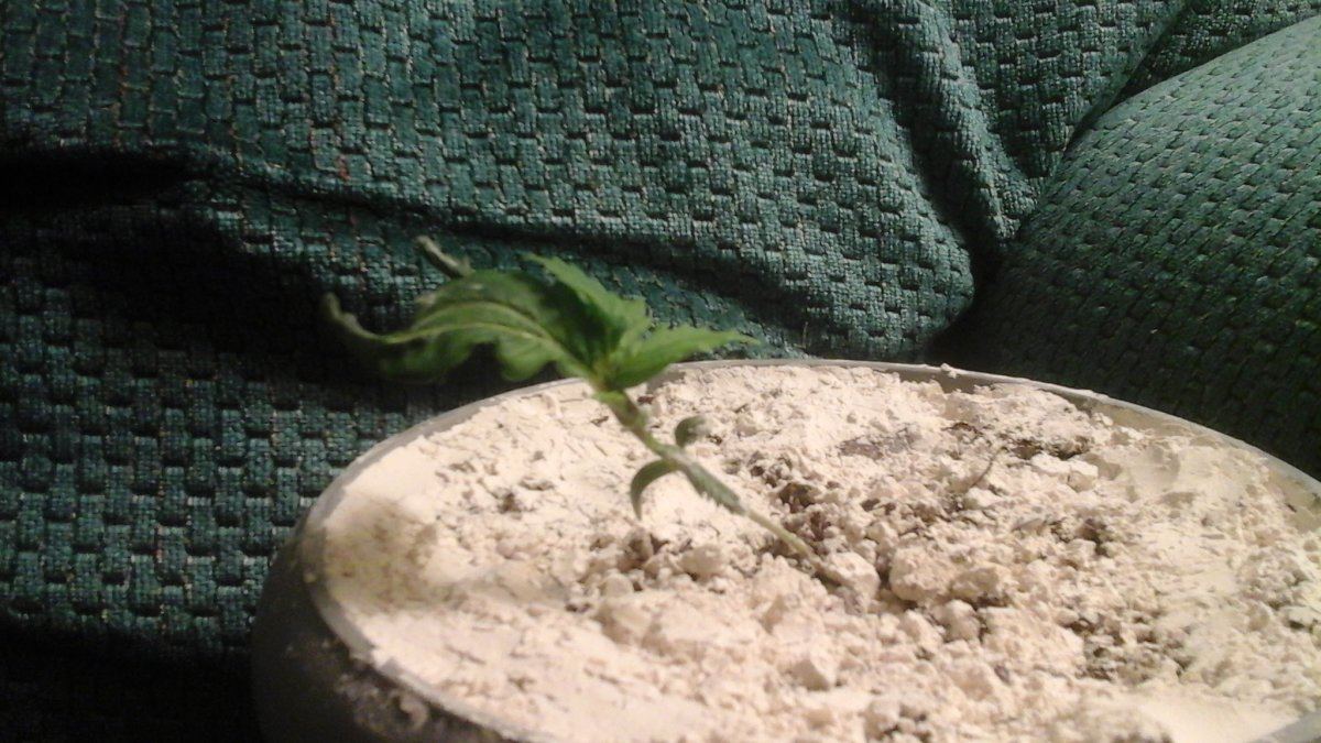 20150909 192035