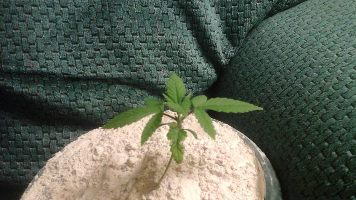 20150909 192423