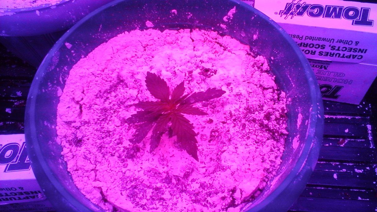 20150911 144903