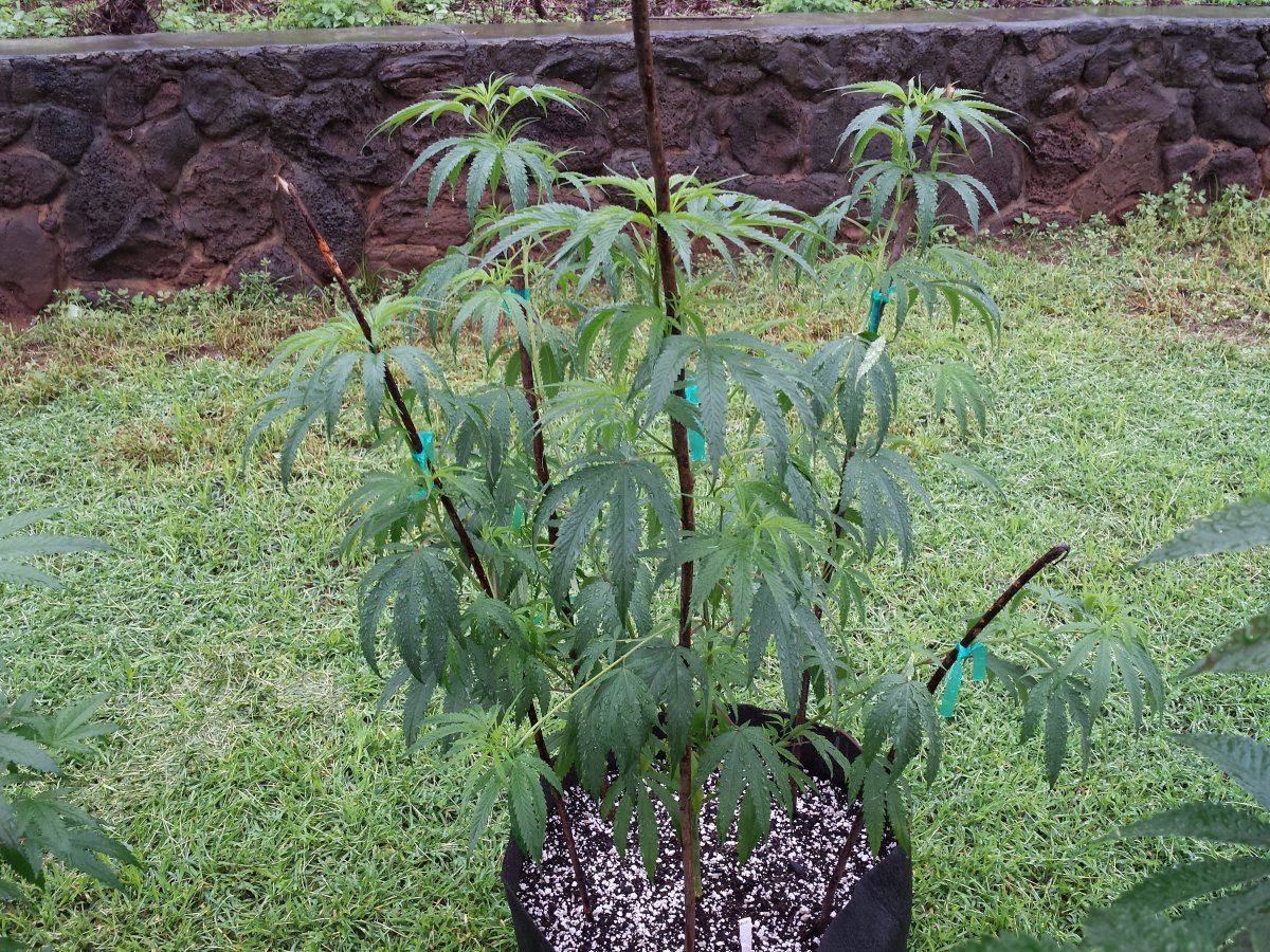 20150912 075218