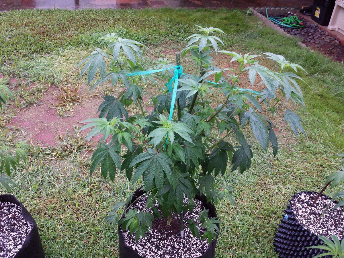 20150912 075337