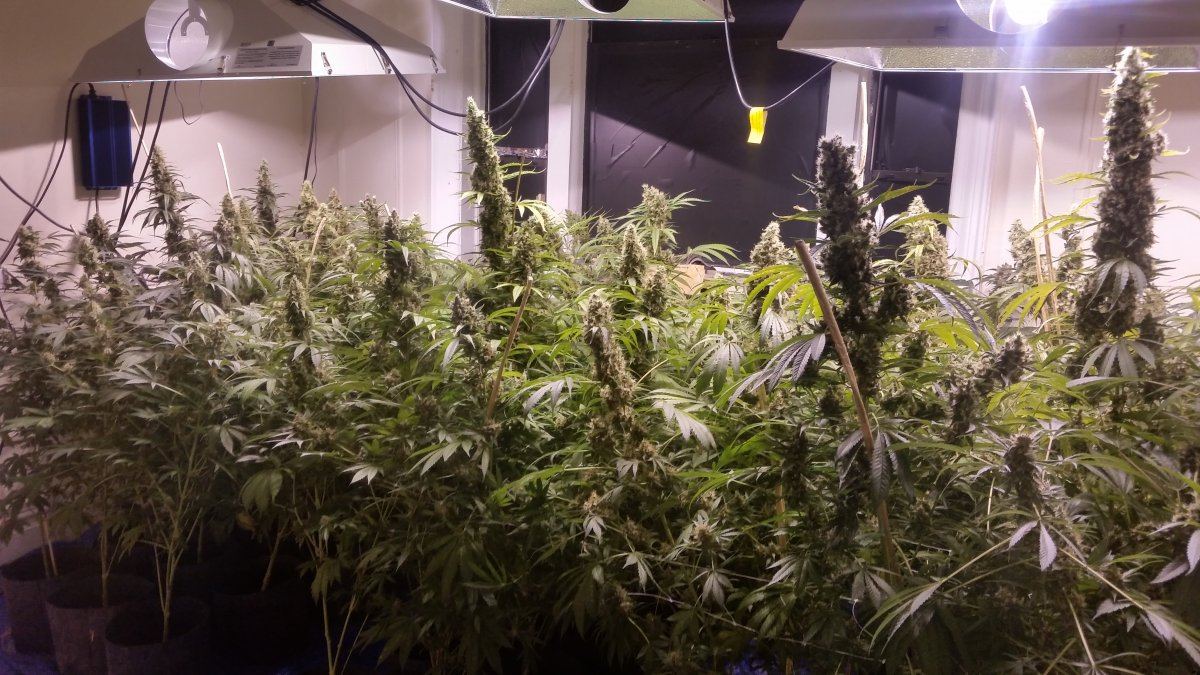 20150918 134239