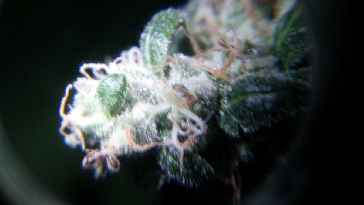 20150921 231044