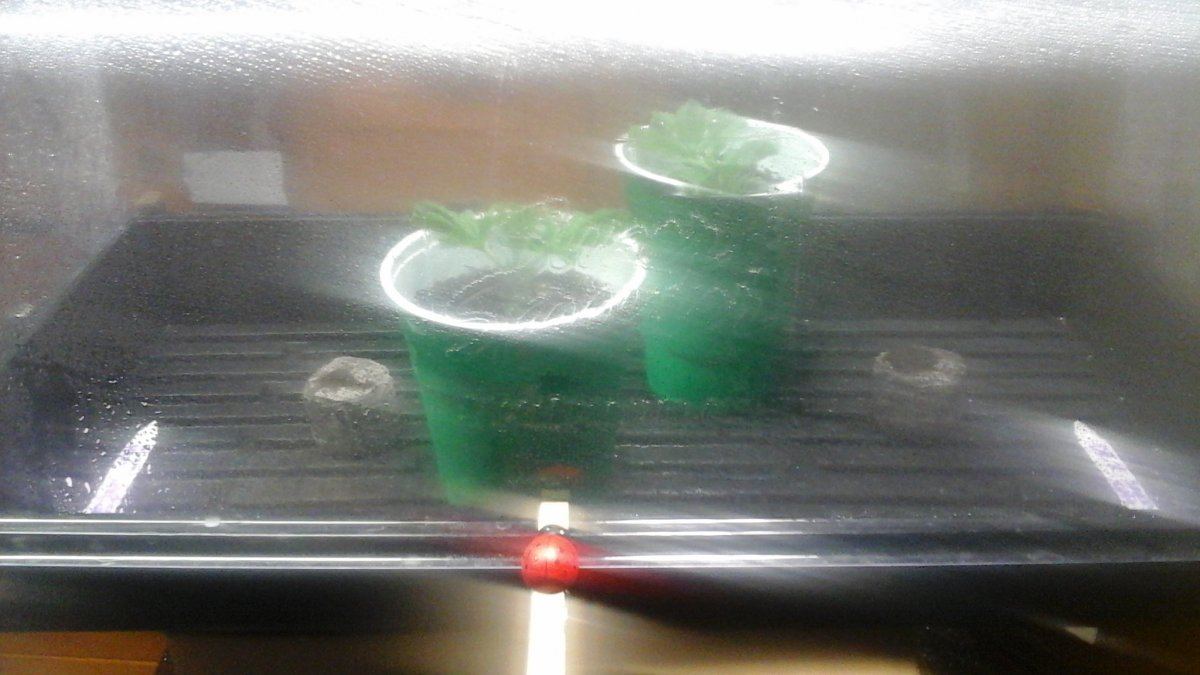 20150923 231903