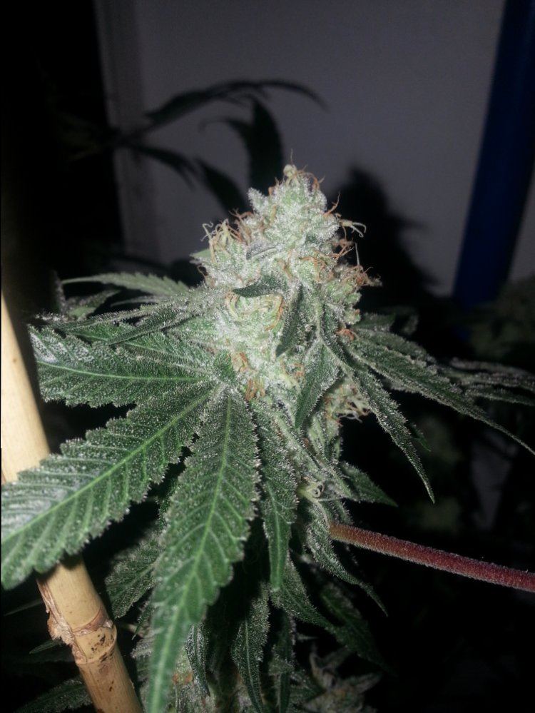 20151001 182121