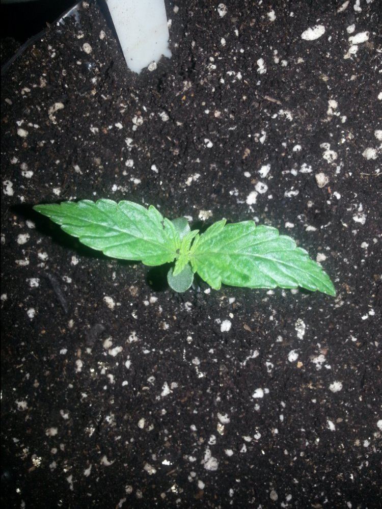 20151005 181007
